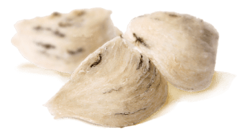 Vì sao chọn chúng tôi