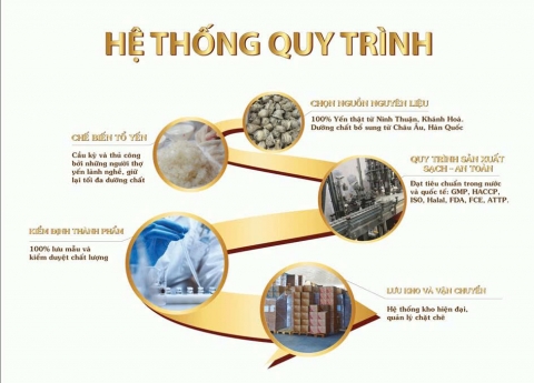 Nguồn nguyên liệu tổ yến SẠCH thu hoạch tại Tuy Hoà và Bình Định